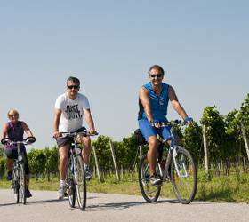bikever bike rental hiring home france enjoy journey travel bike nature vineyard ride